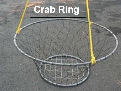 Everything you wanted to know about Crabbing, and you were afraid